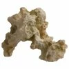 Deep Sea Aquariumdekoration Lochstein Beige 29x15x21cm -Hundefutter Geschäft 1000192 deep sea aquariumdekoration lochstein beige 29x15x21cm 1000192 1 p