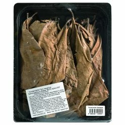 Sera Seemandelbaumblätter Fürs Aquarium 20 Cm