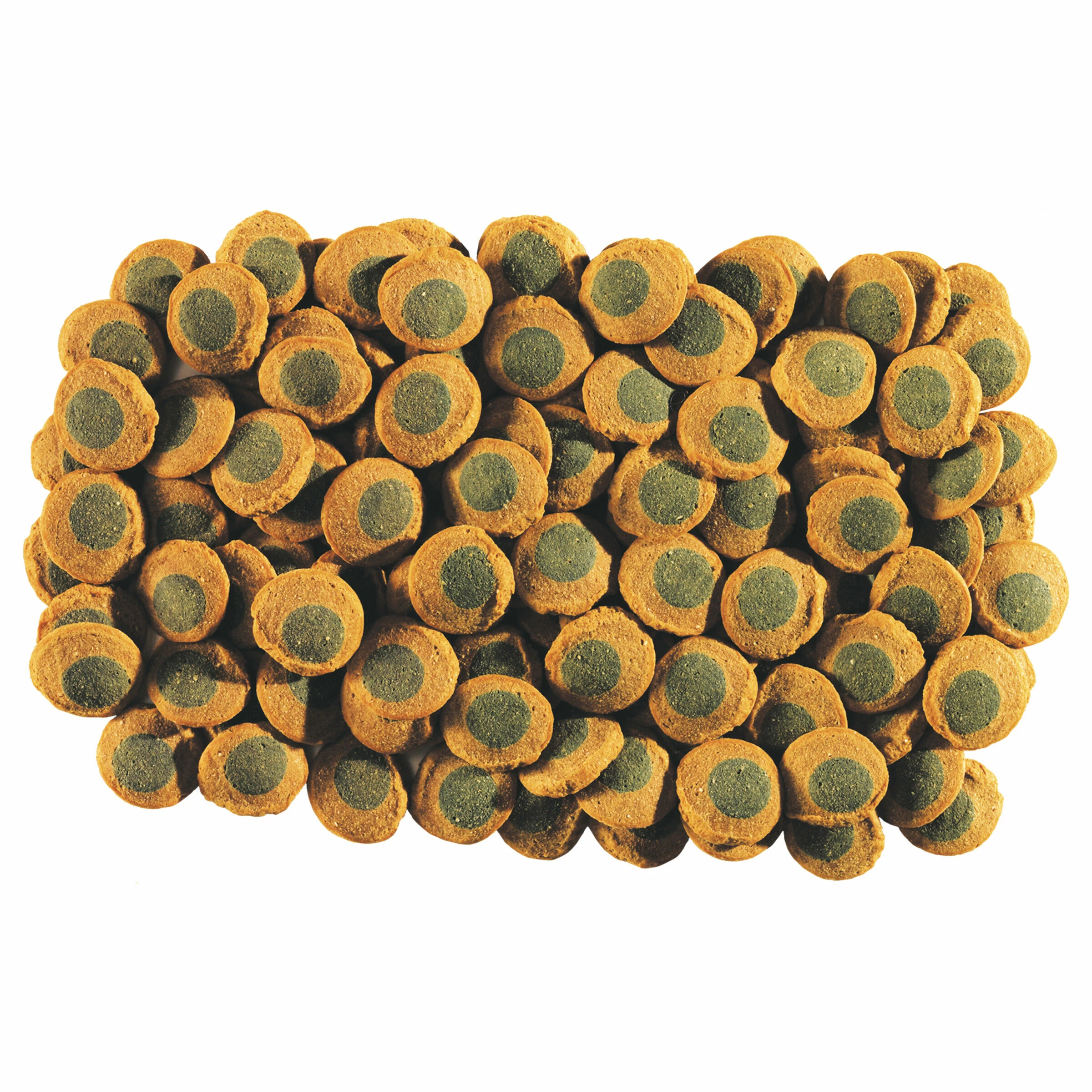 Tetra Pleco SpirulinaWafers Fischfutter 250ml 4 Tetra Pleco SpirulinaWafers Fischfutter 250ml – Bild 2