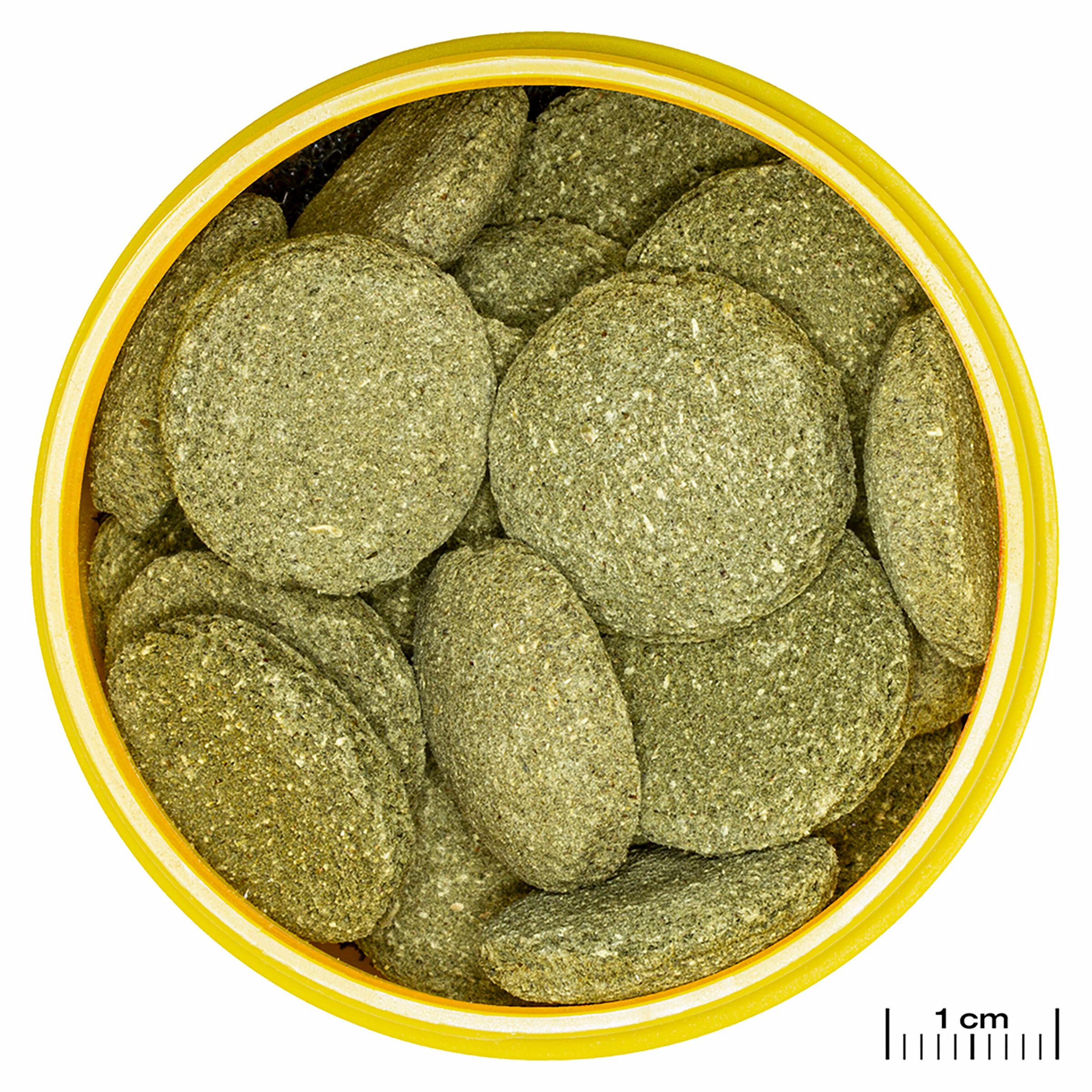 JBL ProNovo Pleco Wafer XL 250ml 4 JBL ProNovo Pleco Wafer XL 250ml – Bild 2