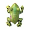 KONG Hundespielzeug Shieldz Tropics Frosch M -Hundefutter Geschäft 5180852 kong hundespielzeug shieldz tropics frosch m 5180852