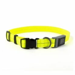 Freezack Leuchthalsband PVC Für Hunde Gelb