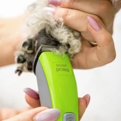 Moser Akku Schermaschine PRIMA 1586 Für Hunde & Katzen -Hundefutter Geschäft 5402454 moser akku schermaschine prima 1586 fur hunde katzen 5402454 4 p