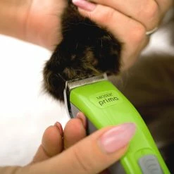 Moser Akku Schermaschine PRIMA 1586 Für Hunde & Katzen -Hundefutter Geschäft 5402454 moser akku schermaschine prima 1586 fur hunde katzen 5402454 5 p