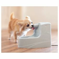 PetSafe Drinkwell Mini Trinkbrunnen 1.2l -Hundefutter Geschäft 5402737 petsafe drinkwell mini trinkbrunnen 1 2l 5402737 4