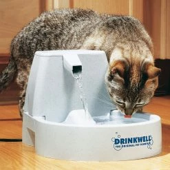 PetSafe Drinkwell Original Trinkbrunnen 1.5l -Hundefutter Geschäft 5402738 petsafe drinkwell original trinkbrunnen 1 5l 5402738 1