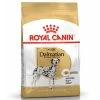 Royal Canin Adult Dalmatiner 12kg -Hundefutter Geschäft 5417299 royal canin adult dalmatiner 12kg 5417299