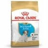 Royal Canin Jack Russell Puppy 1.5kg -Hundefutter Geschäft 5417348 royal canin jack russell puppy 1 5kg 5417348