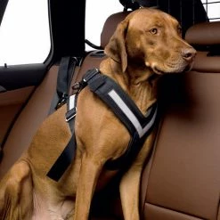 Allsafe S TÜV Autosicherheitsgurt -Hundefutter Geschäft 5418343 allsafe s tuv autosicherheitsgurt 5418343 2 p