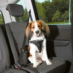 Treponti Auto-Hundegeschirr Dog Comfort S-M 7 Treponti Auto-Hundegeschirr Dog Comfort S-M -Hundefutter Geschäft 5419330 auto hundegeschirr dog comfort s m 5419330 1