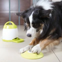 Trixie Dog Activity Memory Trainer Intelligenzspielzeug D=20x24cm -Hundefutter Geschäft 5419622 trixie dog activity memory trainer intelligenzspielzeug d 20x24cm 5419622 2