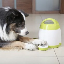 Trixie Dog Activity Memory Trainer Intelligenzspielzeug D=20x24cm -Hundefutter Geschäft 5419622 trixie dog activity memory trainer intelligenzspielzeug d 20x24cm 5419622 3