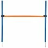 KONG Activity Agility Hürde -Hundefutter Geschäft 5419748 activity agility hurde 5419748 1