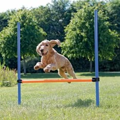 KONG Activity Agility Hürde -Hundefutter Geschäft 5419748 activity agility hurde 5419748 5