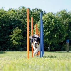 FREEZACK Dog Activity Agility Safer Slalom -Hundefutter Geschäft 5419758 dog activity agility safer slalom 5419758 3