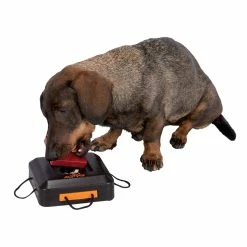 Trixie Dog Activity Gamble Box 15x15cm -Hundefutter Geschäft 5420284 trixie dog activity gamble box 15x15cm 5420284 3 p