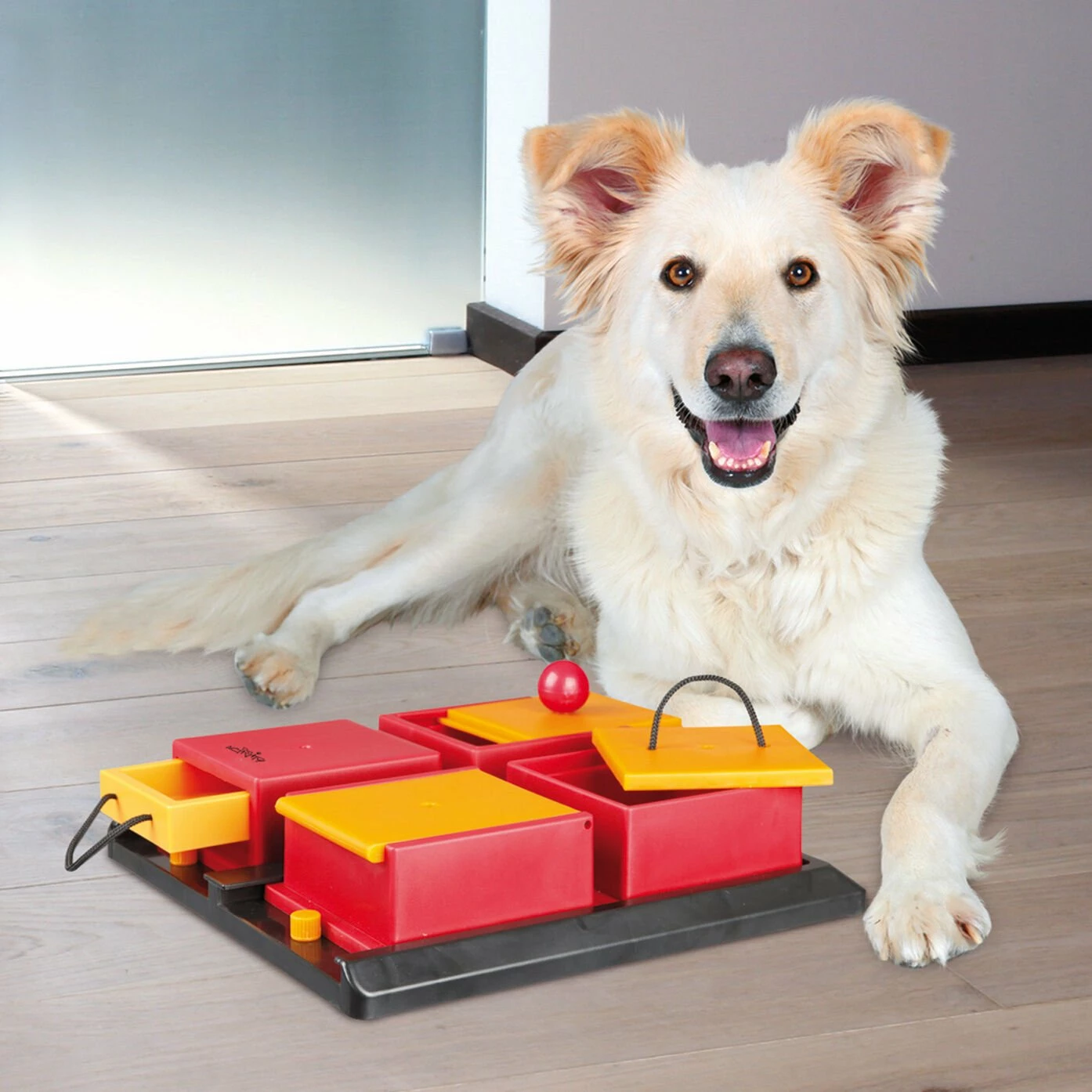 Trixie Dog Activity Poker Box 1 31x31cm 5 Trixie Dog Activity Poker Box 1 31x31cm – Bild 3