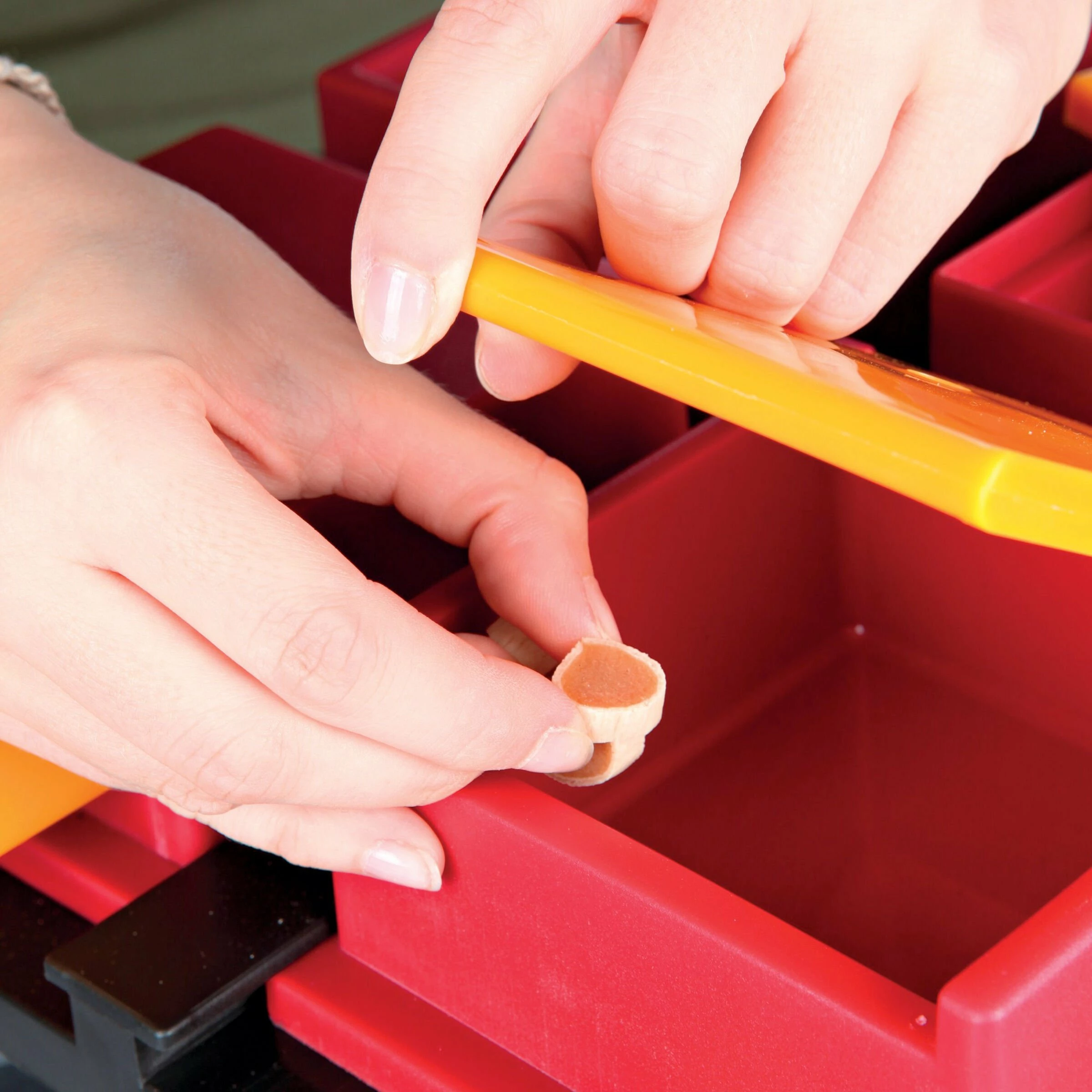 Trixie Dog Activity Poker Box 1 31x31cm 6 Trixie Dog Activity Poker Box 1 31x31cm – Bild 4