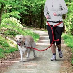 Grossenbacher Jogginggurt Mit Leine Rot -Hundefutter Geschäft 5420734 jogginggurt mit leine rot 5420734 2