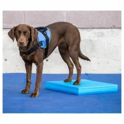 FitPAWS Balancierkissen Balance Pad -Hundefutter Geschäft 5422922 fitpaws balancierkissen balance pad 5422922 3