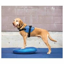 FitPAWS Balancekissen Balance Disk Blau -Hundefutter Geschäft 5422928 fitpaws balancekissen balance disk blau 5422928 2