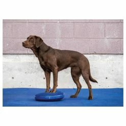 FitPAWS Balancekissen Balance Disk Blau -Hundefutter Geschäft 5422928 fitpaws balancekissen balance disk blau 5422928 3