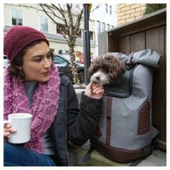 Kurgo Hunderucksack K9 In Grau Für Hunde Bis 11.3kg -Hundefutter Geschäft 5423417 kurgo hunderucksack k9 in grau fur hunde bis 11 3kg 5423417 13