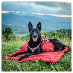 Kurgo Hunderucksack Baxter Rot -Hundefutter Geschäft 5423420 kurgo hunderucksack baxter rot 5423420 10