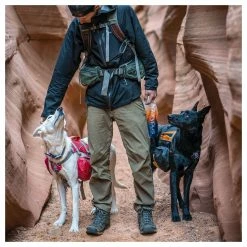 Kurgo Hunderucksack Baxter Rot -Hundefutter Geschäft 5423420 kurgo hunderucksack baxter rot 5423420 3