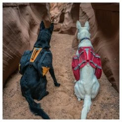 Kurgo Hunderucksack Baxter Rot -Hundefutter Geschäft 5423420 kurgo hunderucksack baxter rot 5423420 4