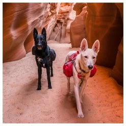 Kurgo Hunderucksack Big Baxter Rot 13 Kurgo Hunderucksack Big Baxter Rot -Hundefutter Geschäft 5423424 kurgo hunderucksack big baxter rot 5423424 2