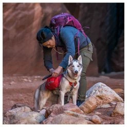 Kurgo Hunderucksack Big Baxter Rot 16 Kurgo Hunderucksack Big Baxter Rot -Hundefutter Geschäft 5423424 kurgo hunderucksack big baxter rot 5423424 5