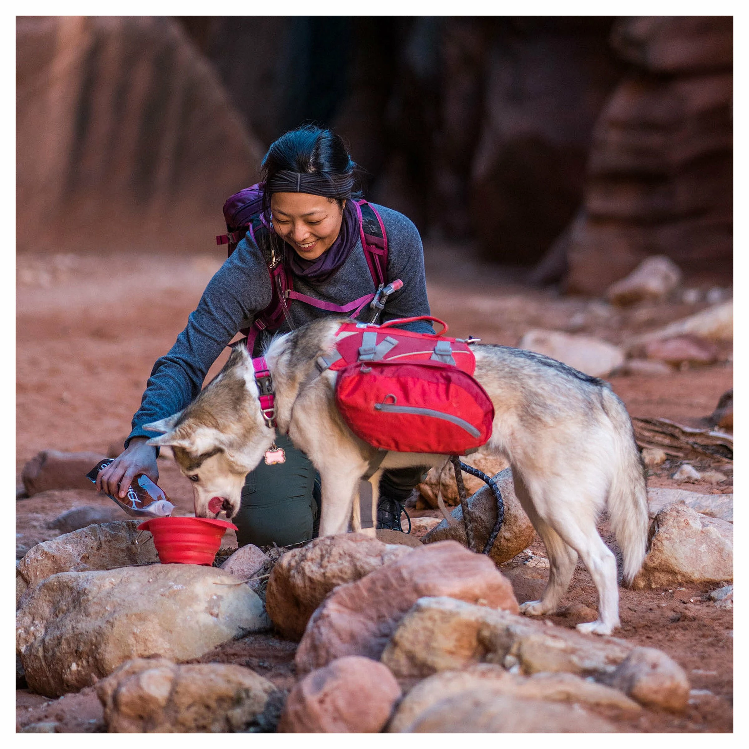 Kurgo Hunderucksack Big Baxter Rot 8 Kurgo Hunderucksack Big Baxter Rot – Bild 6