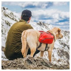 Kurgo Hunderucksack Big Baxter Rot 18 Kurgo Hunderucksack Big Baxter Rot -Hundefutter Geschäft 5423424 kurgo hunderucksack big baxter rot 5423424 7