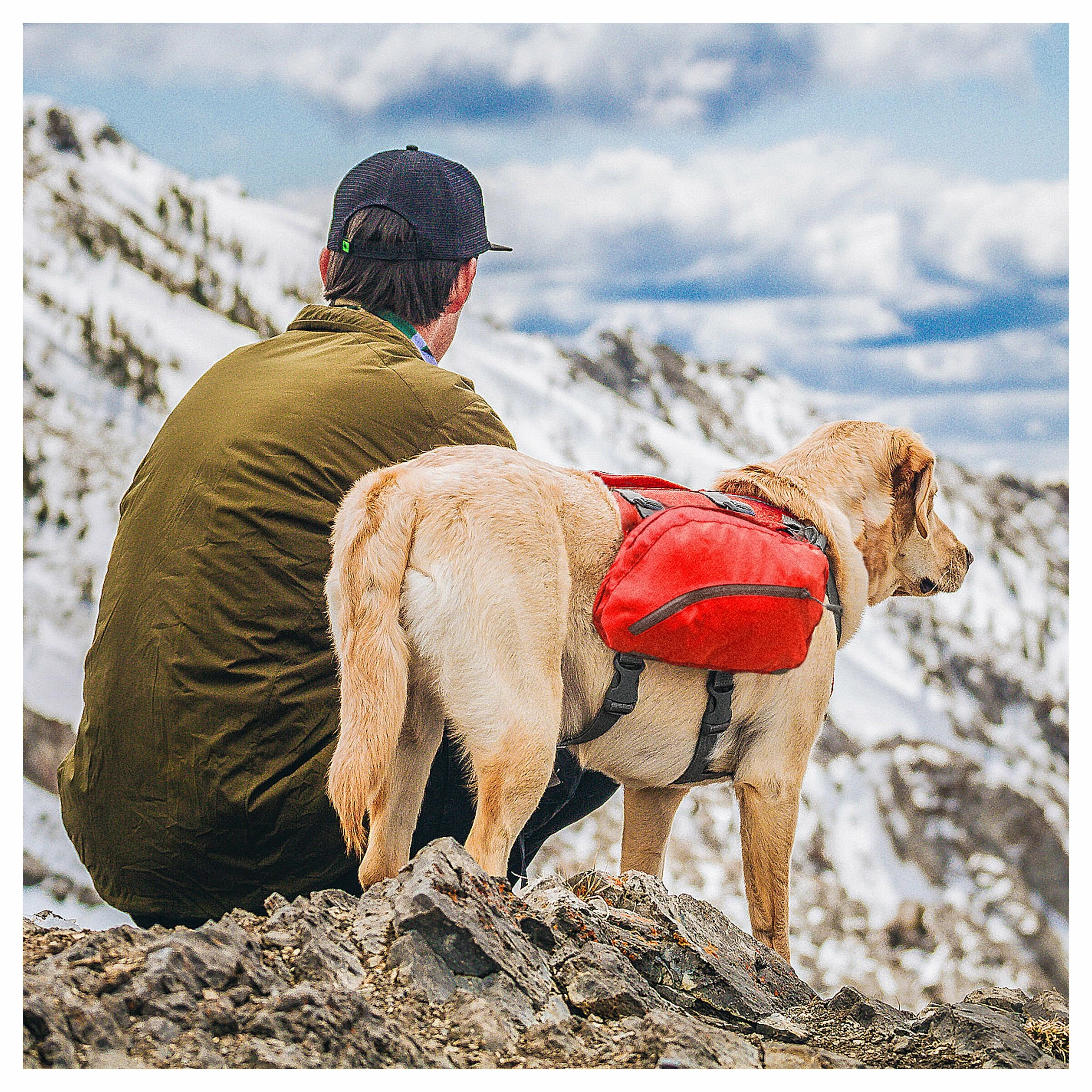 Kurgo Hunderucksack Big Baxter Rot 9 Kurgo Hunderucksack Big Baxter Rot – Bild 7