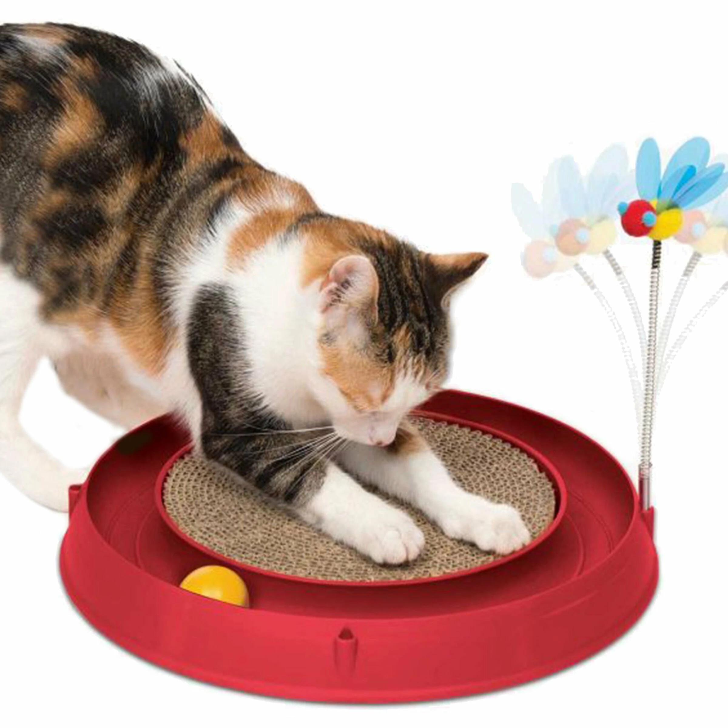 Catit Play Ball Circuit Mit Scratching Pad 4 Catit Play Ball Circuit Mit Scratching Pad – Bild 2