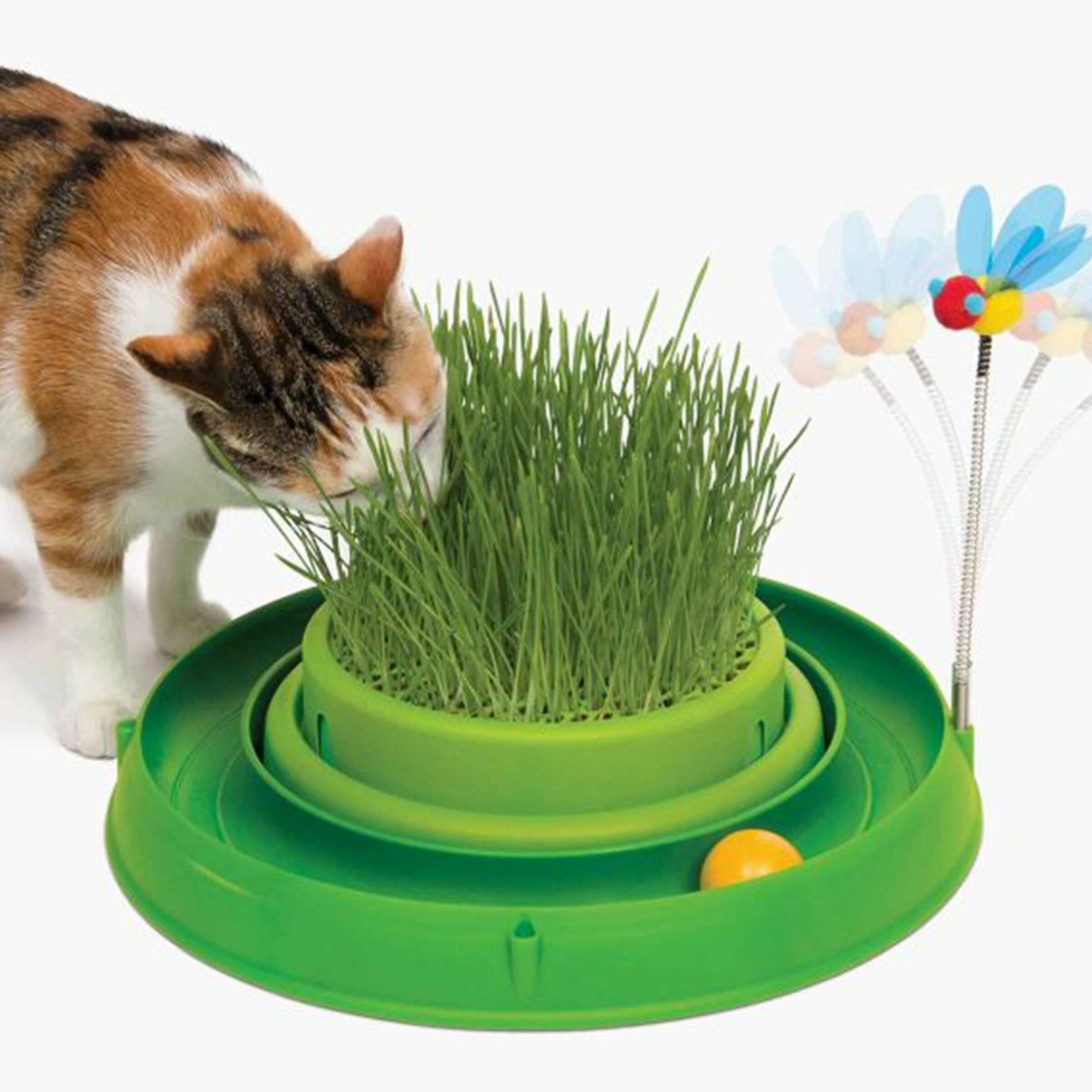 Catit Play Ball Circuit Mit Katzengras 4 Catit Play Ball Circuit Mit Katzengras – Bild 2