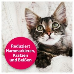 Felisept Home Comfort Beruhigungsspray 100 Ml 5 Felisept Home Comfort Beruhigungsspray 100 Ml -Hundefutter Geschäft 6140173 felisept home comfort beruhigungsspray 100 ml 6140173 2