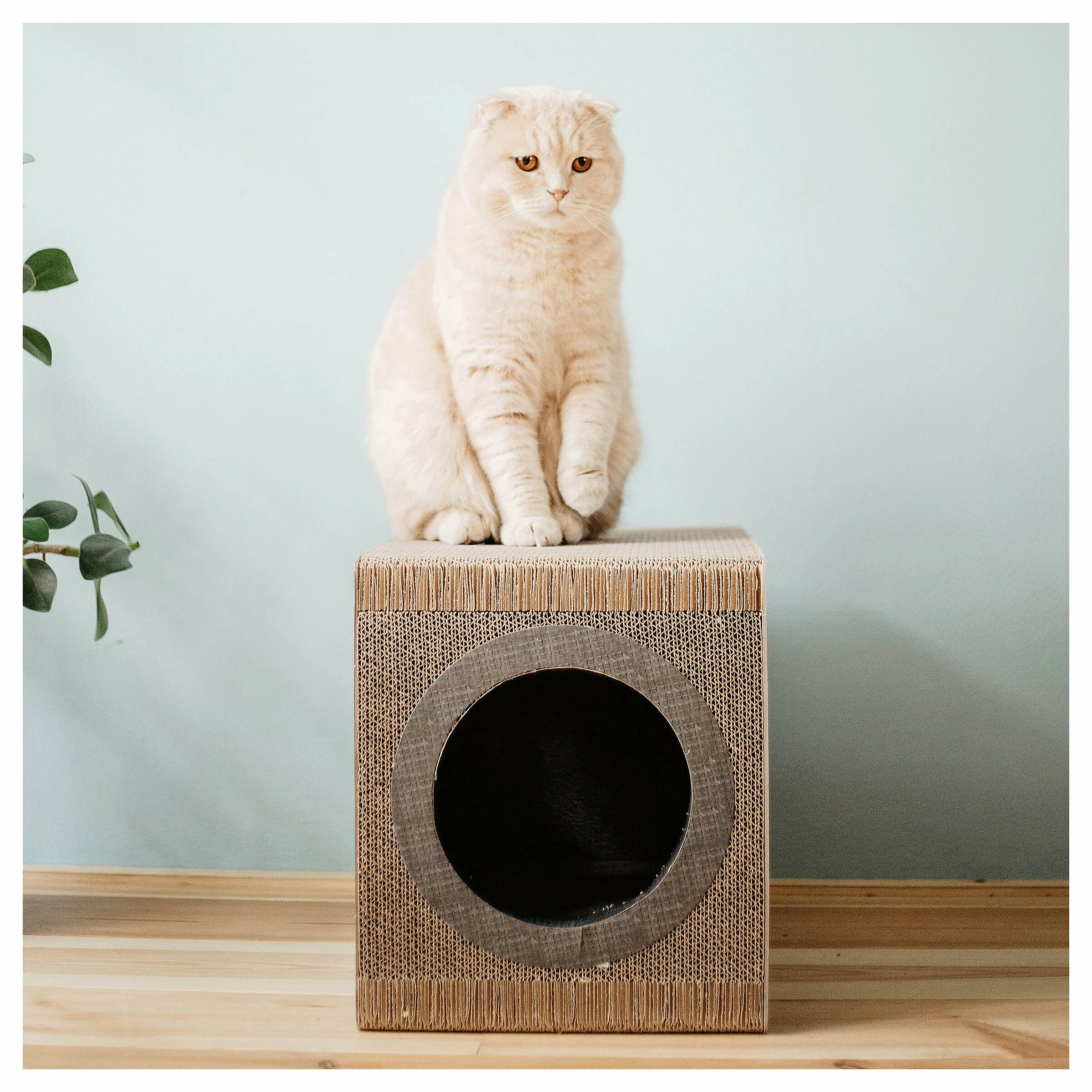 District 70 Kratzhöhle Mixtape Schwarz 54x31x35cm 4 District 70 Kratzhöhle Mixtape Schwarz 54x31x35cm – Bild 2