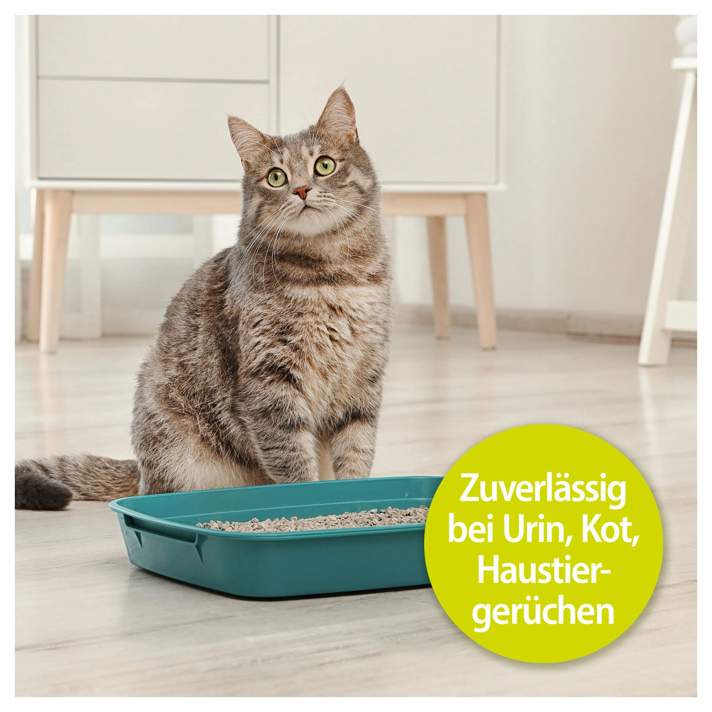 Bactador Katzentoiletten Geruchsentferner Spray 500ml 4 Bactador Katzentoiletten Geruchsentferner Spray 500ml – Bild 2