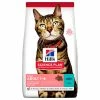Hill's Katze Science Plan Adult Light Thunfisch 7kg 2 Hill's Katze Science Plan Adult Light Thunfisch 7kg -Hundefutter Geschäft 6204862 hill s katze science plan adult light thunfisch 7kg 6204862 s