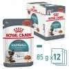 Royal Canin Katze Hairball Care In Sauce 12x85g -Hundefutter Geschäft 6206765k royal canin katze hairball care in sauce 12x85g 6206765k