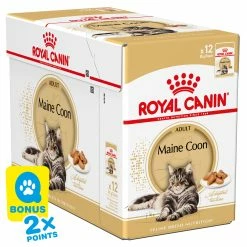 Royal Canin Katze Mainecoon 12x85g