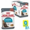 Royal Canin Katze Urinary Care Sauce 12x85g -Hundefutter Geschäft 6206855k royal canin katze urinary care sauce 12x85g 6206855k
