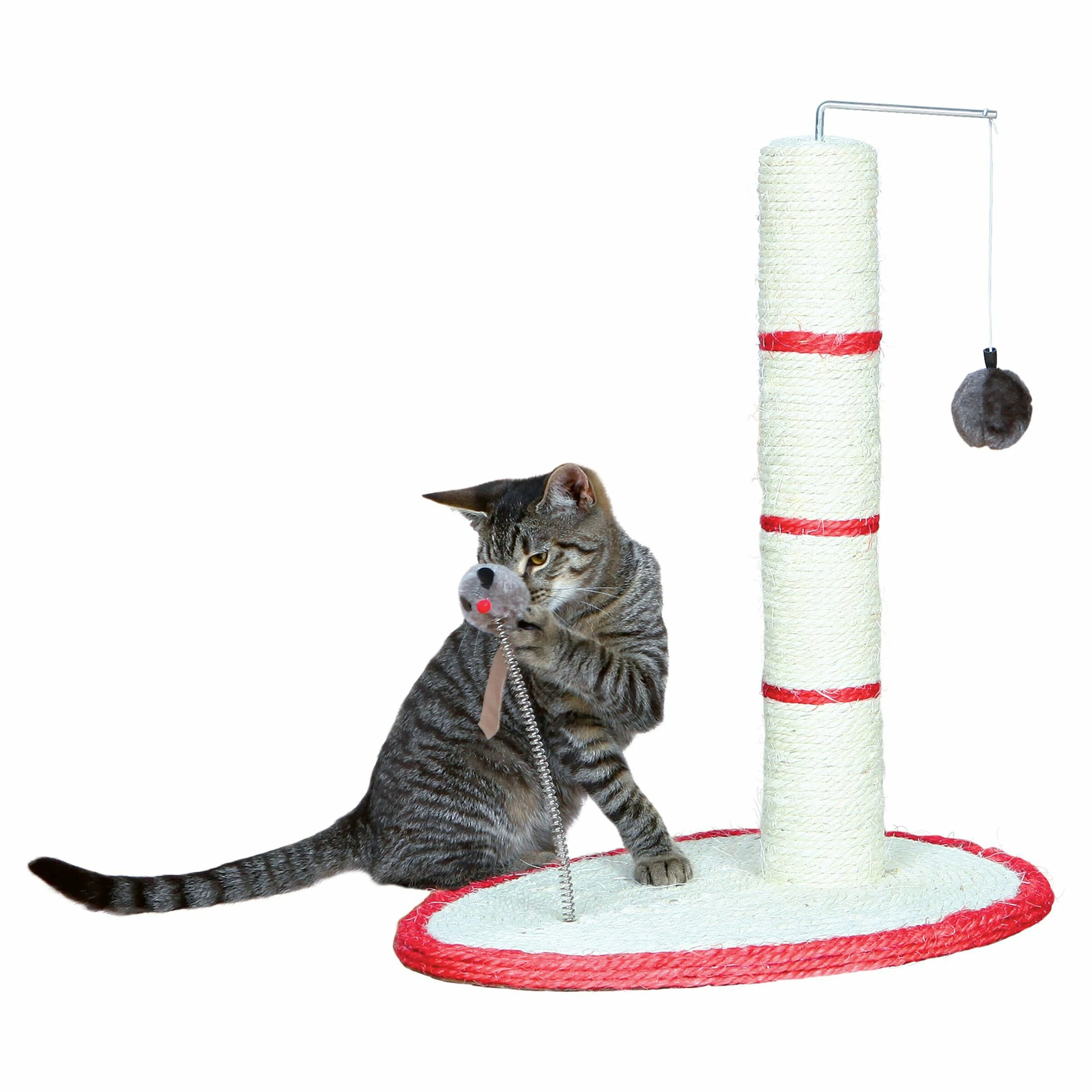 Petrebels Kratzstamm Scratch Me 50cm 3 Petrebels Kratzstamm Scratch Me 50cm