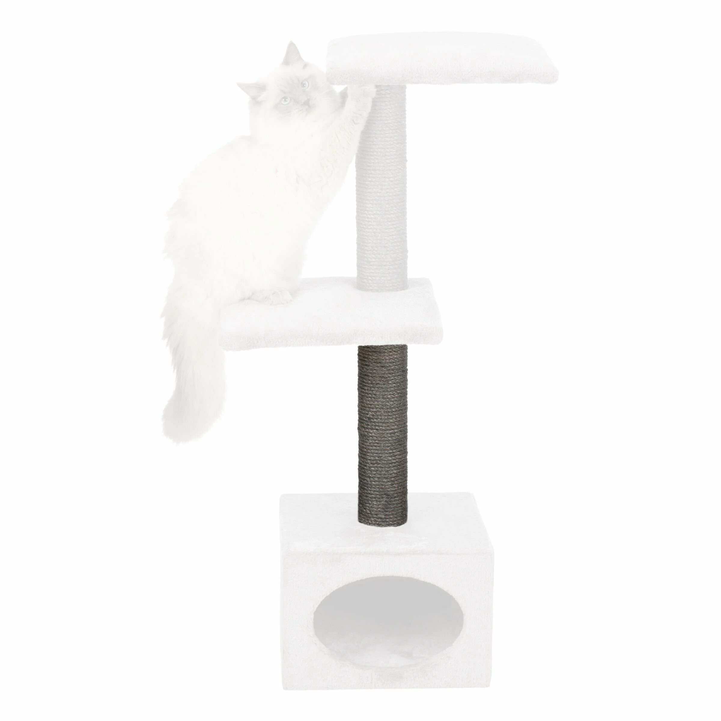 Petrebels Ersatzteil Für Kratzbaum Galeno Stamm Mit Stehbolzen, D= 9x40cm, Grau 3 Petrebels Ersatzteil Für Kratzbaum Galeno Stamm Mit Stehbolzen, D= 9x40cm, Grau