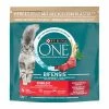 Purina ONE Trockenfutter Sterilcat Rind & Weizen 1.5kg 1 Purina ONE Trockenfutter Sterilcat Rind & Weizen 1.5kg -Hundefutter Geschäft 6209360 purina one trockenfutter sterilcat rind weizen 1 5kg 6209360