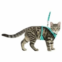 Felisept Mesh Y Katzengeschirr Und Katzenleine -Hundefutter Geschäft 6209606 mesh y katzengeschirr und katzenleine 6209606 3 p