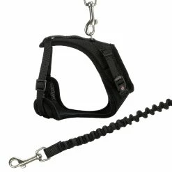 Felisept Mesh Y Katzengeschirr Und Katzenleine -Hundefutter Geschäft 6209606 mesh y katzengeschirr und katzenleine 6209606 4 p