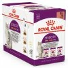 Royal Canin Katze FHN Sensory Multipack 3x4x85g Assortiert -Hundefutter Geschäft 6209684 royal canin katze fhn sensory multipack 3x4x85g assortiert 6209684